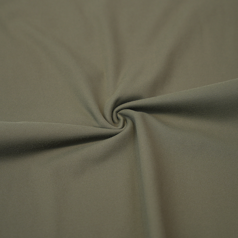 Nylon Spandex Interlock fabricae